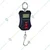 Metis 200 Kg Capacity Digital Hanging Scales With LCD Display & Backlight For Home, Farm And Market Fishing (1 Year Warranty)